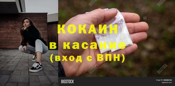 ешки Корсаков